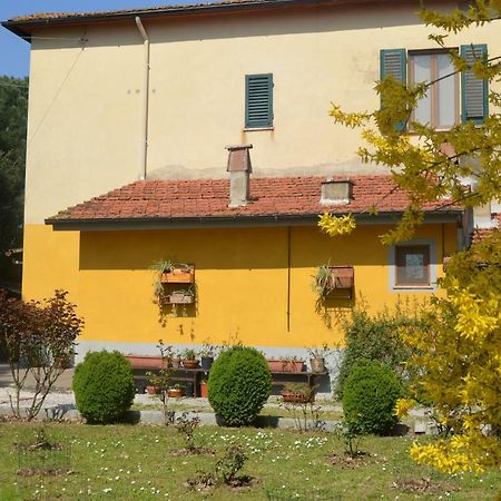 Campo Alle Monache Bucine Екстер'єр фото