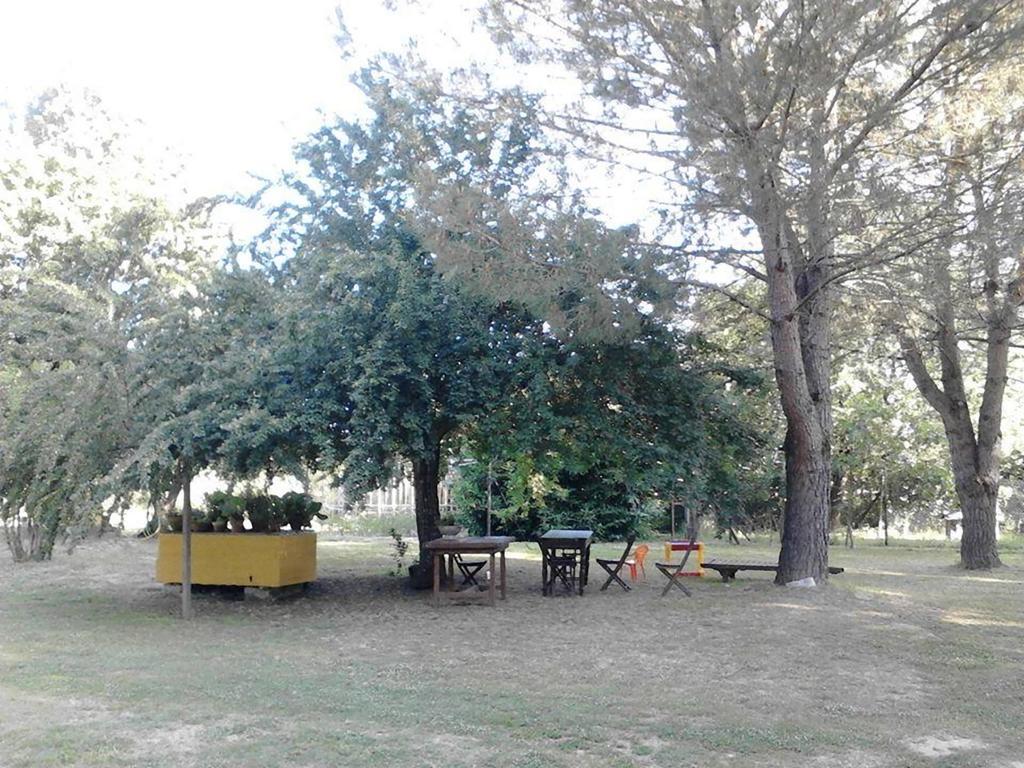 Campo Alle Monache Bucine Екстер'єр фото