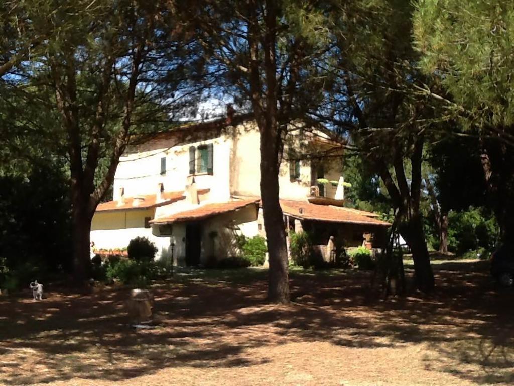 Campo Alle Monache Bucine Екстер'єр фото