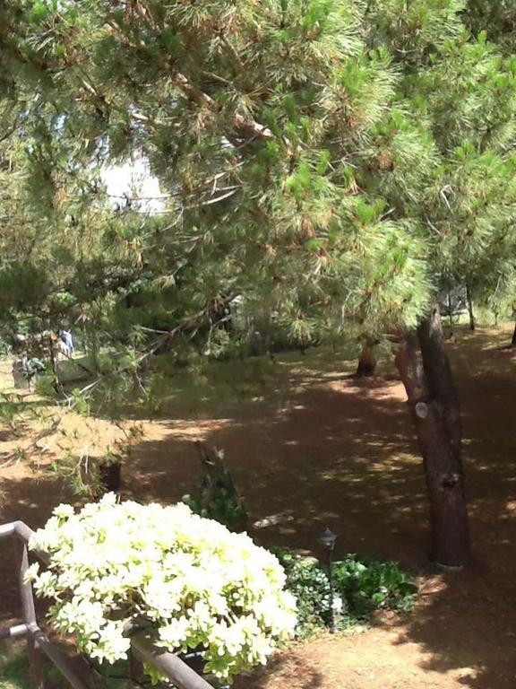 Campo Alle Monache Bucine Екстер'єр фото