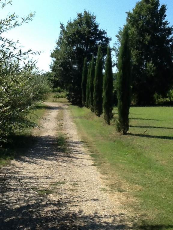 Campo Alle Monache Bucine Екстер'єр фото