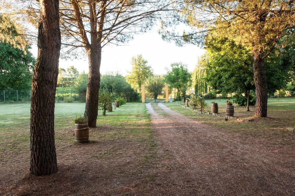 Campo Alle Monache Bucine Екстер'єр фото