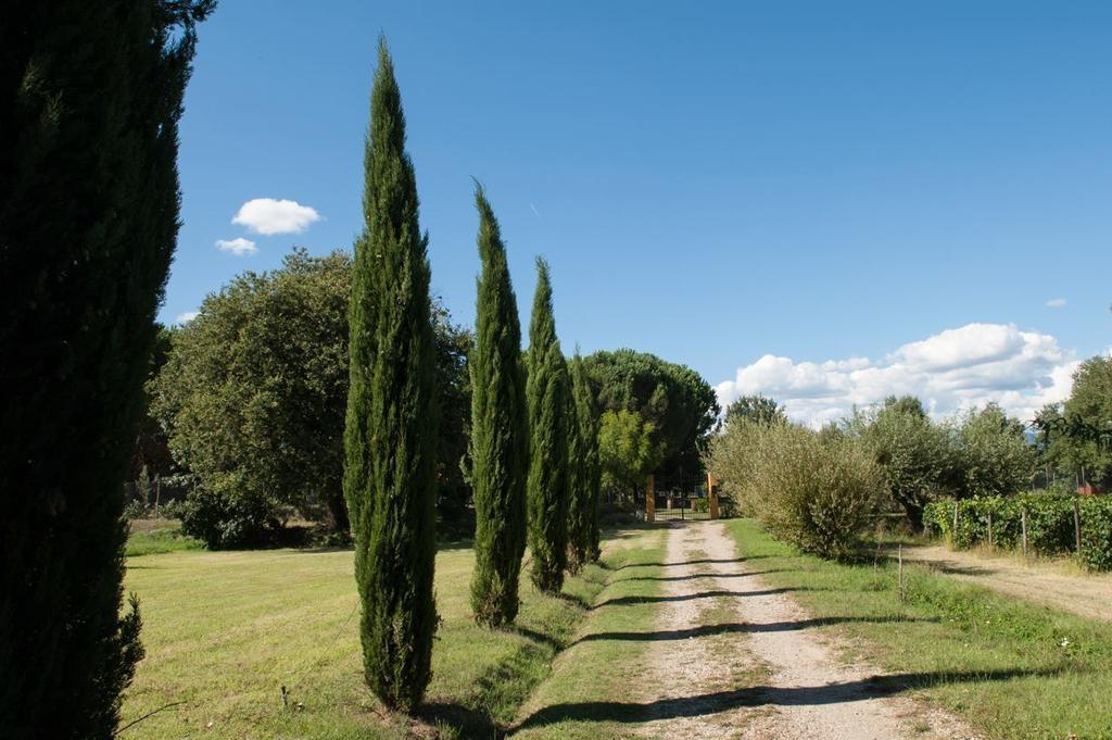 Campo Alle Monache Bucine Екстер'єр фото