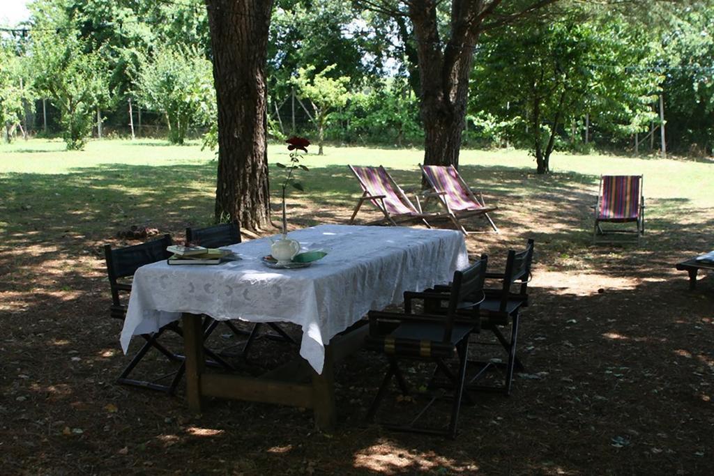Campo Alle Monache Bucine Екстер'єр фото