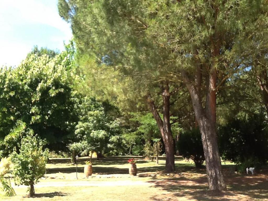 Campo Alle Monache Bucine Екстер'єр фото
