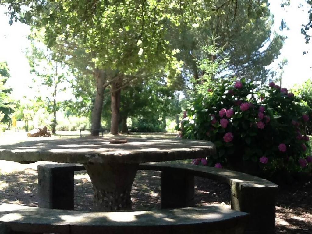 Campo Alle Monache Bucine Екстер'єр фото