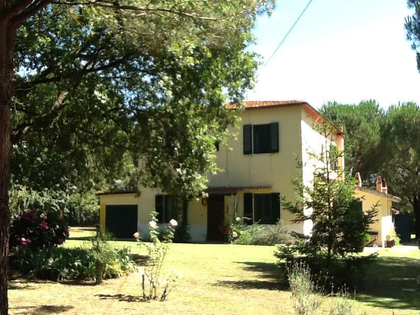 Campo Alle Monache Bucine Екстер'єр фото