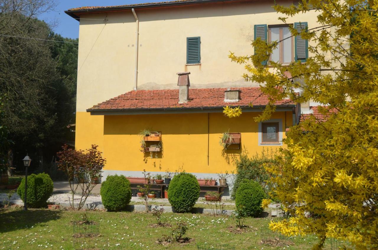 Campo Alle Monache Bucine Екстер'єр фото