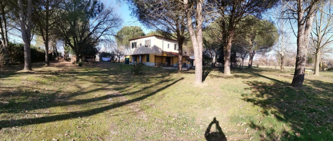 Campo Alle Monache Bucine Екстер'єр фото