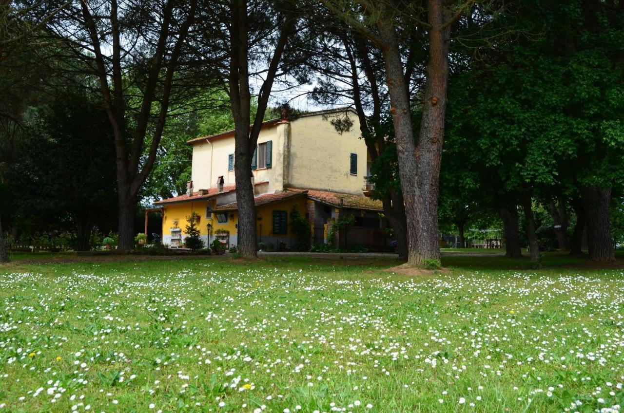 Campo Alle Monache Bucine Екстер'єр фото